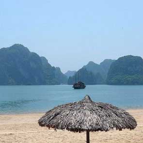 碳酸鈣D3顆粒(精朗迪)